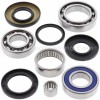 Kit reparación grupo diferencial trasero Suzuki LT-F250 Ozark 02-14, LT-Z250 04-09
