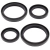 Kit retenes grupo diferencial delantero 2520505 Arctic Cat 