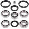 Kit reparación grupo diferencial trasero Kymco Maxxer 450i 10-16, MXU450i 11-17