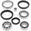 Kit reparación grupo diferencial delantero (252051) Arctic Cat 