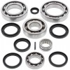Kit reparación grupo diferencial trasero Suzuki LT-V700F Twin Peaks 04-06
