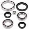 Kit reparación grupo diferencial delantero Yamaha 700 Viking 14-18, 700 Viking EPS 2018, 700 Viking EPS Red/Green 2018, 700 Viking VI EPS 15-18, 700 Viking VI EPS Hunter 2018, 700 Viking VI EPS Ranch 2018