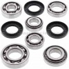 Kit reparación grupo diferencial trasero Yamaha YFM550 Grizzly 09-14, YFM550 Grizzly EPS 09-14, YFM700 Grizzly 07-16, YFM700 Grizzly EPS 08-18, YFM700 Grizzly EPS Graphite 2018