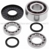 Kit reparación grupo diferencial delantero (252075) Polaris