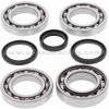 Kit reparación grupo diferencial trasero (252076) Polaris