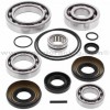 Kit reparación grupo diferencial trasero Kawasaki KVF650i Brute force 06-13, KVF750 Brute Force 05-18, KVF750 Brute Force EPS 12-18
