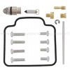 Kit reparación carburador Polaris 300 Hawkeye 08-11, 300 Hawkeye 4x4 08-10, 300 Sportsman 4x4 08-10
