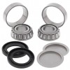 Kit rodamientos basculante Arctic Cat 250 2x4 06-09, 300 2x4 10-16 