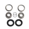 Kit rodamientos basculante Yamaha YFB250 Timberwolf 92-00, YFM350 Big Bear 87-99, YFM350 Big Bear 96-99, YFM350 Wolverine 95-05, YFM400 Kodiak 93-99, YFM600 Grizzly 98-01