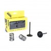 Kit de Válvulas de admision + muelles PROX Suzuki LT-R450 06-11