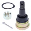 Can Am DS250 06-16