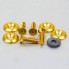 Pack 4 tornillos y arandelas avellanados M6x25mm. Dorado PRO-BOLT