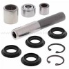Kit rodamientos trapecio delantero superior Kawasaki KVF650i Brute Force 2007