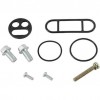 Kit reparación grifo de gasolina Kawasaki KVF360A Prairie 4x4 03-13, KVF360B Prairie 03-11, KVF360C Prairie 4x4 03-13, KVF400A Prairie 4x4 97-98, KVF400B Prairie 1998, KVF400C Prairie 4x4 99-02, KVF400D Prairie 99-02