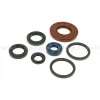 Kit retenes de Motor Kymco Maxxer 150 03-07, MXU150 05-06