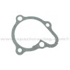 Junta bomba de agua Kymco KXR250 04-07, MXU250 05-17, MXU300 05-17, Maxxer 300 06-12 