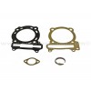 Kit juntas de cilindro Arctic Cat 250 2x4 99-04, 250 2x4 Automatic. 08-09, DVX250 2006