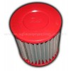 Filtro de aire BMC Honda TRX300 EX 93-08, TRX300 X 2009