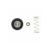 Kit reparación bomba de enriquecimiento Kawasaki KVF650 Brute Force 05-17, KFX700 06-11