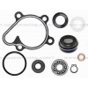 Kit reparación bomba de agua Yamaha YFM450 Kodiak 18-21 