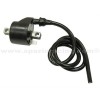 Bobina de encendido Polaris 500 Predator 03-07