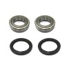 Kit rodamientos Eje trasero Polaris 250 Trail Blazer 99-06, 250 Xplorer 4X4 00-02, 325 Trail Boss 00-02, 330 Trail Blazer 08-13, 330 Trail Boss 03-13, 380 Scrambler 2x4 2000, 400 Scrambler 2x4 00-02