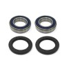 Kit rodamientos Eje trasero Polaris 250 Big Boss 4x6 89-92, 250 Scrambler 85-86, 250 Trail Blazer ES 97, 250 Trail Blazer 90-98, 250 Trail Boss 2x4 85-99, 250 Trail Boss 4x4 87-93