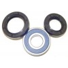 Kit reparación rodamientos de dirección Honda TRX300 EX 93-09