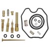 Kit reparación carburador Honda TRX250EX 06-08, TRX250 X 09-14