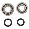 Kit Rodamientos y retenes cigüeñal Honda TRX450 R 04-05, TRX450 ER 04-05