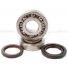 Kit Rodamientos y retenes cigüeñal Honda TRX450 R 06-09, TRX450 ER 06-14