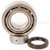 Kit Rodamientos y retenes cigüeñal Suzuki LT-V700 Twin Peaks 04-05