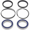 Kit rodamientos y toricas Eje trasero Honda TRX250 R/X 86-92, TRX300 EX 93-08, TRX300 X 2009, TRX400 EX 99-08, TRX400 X 09-14