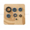 Kit retenes de Motor BRP DS650 00-05