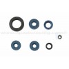 Kit retenes de Motor BRP DS650 00-05