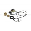 Escobillas motor de arranque Kawasaki KLF220 Bayou 96-02, KLF250 Bayou 03-11