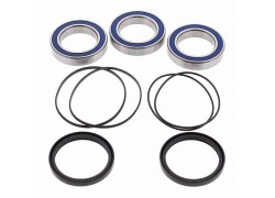 Kit rodamientos y toricas Eje trasero Honda TRX450 R 04-09, TRX450 ER 06-14