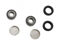 Kit rodamientos basculante Arctic Cat 250 2x4 06-09, 300 2x4 10-16 